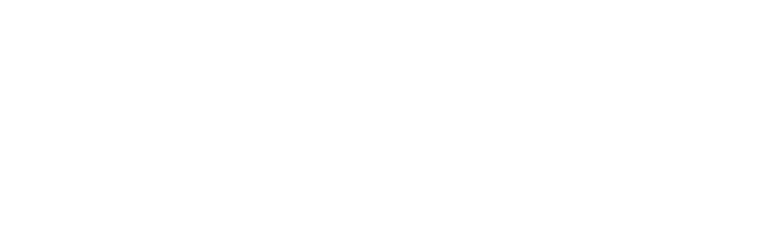Aracnea Networking